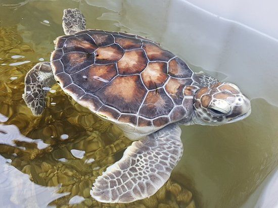 Discover Marine and Wildlife Eco Centre